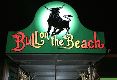 Bull On the Beach
