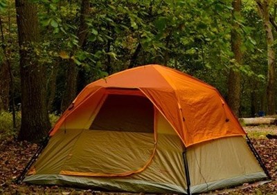 Greenbelt Park - National Park Service - Photo 2
