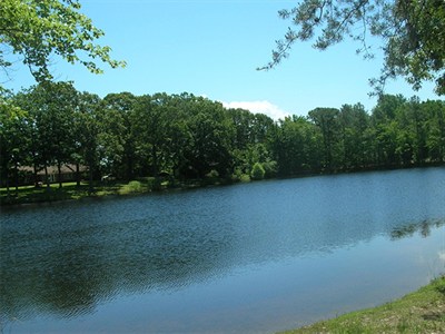 Take It Easy Campground photo 2