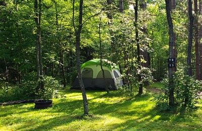 Bumble Bee RV Park & Campground - Photo 3