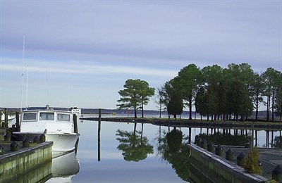 Madison Bay Campground, Marina & Restaurant photo 2