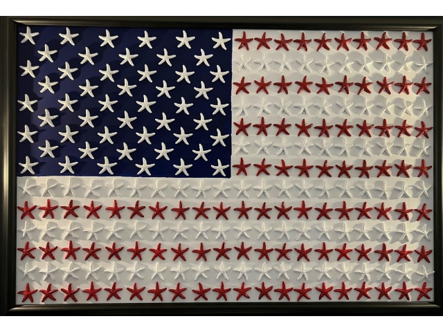A flag made of red, white and blue starfish