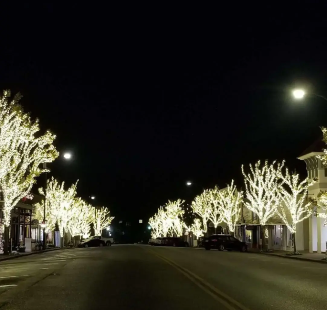 Holidays in Fairhope!