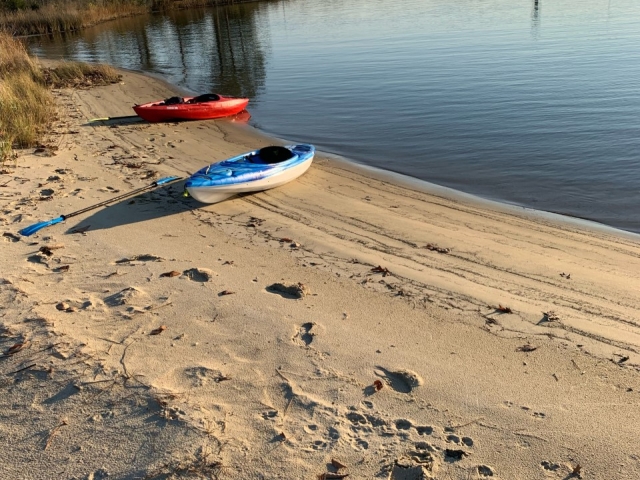 Kayaks Rosegill Beach