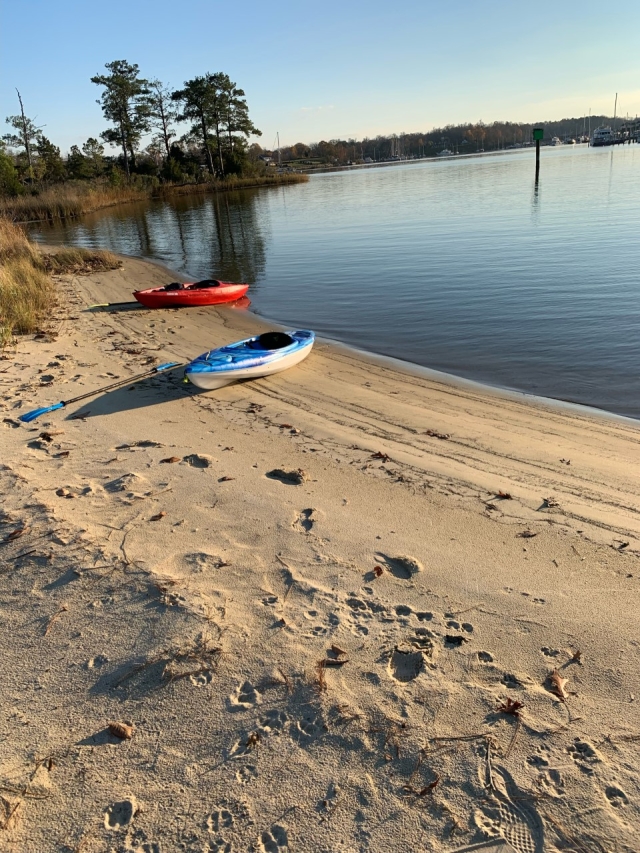 Kayaks Rosegill Beach