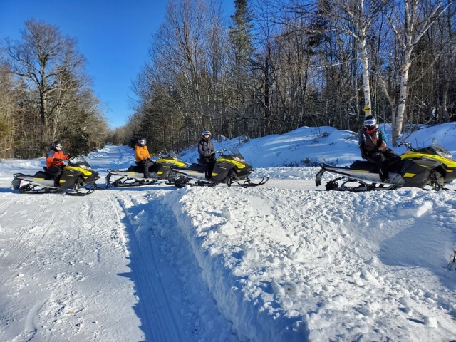 Winter Moose Safari by Snowmobile