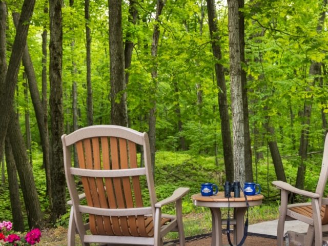 chairs looking out to gardens