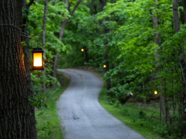 Garden path at Hidden Serenity
