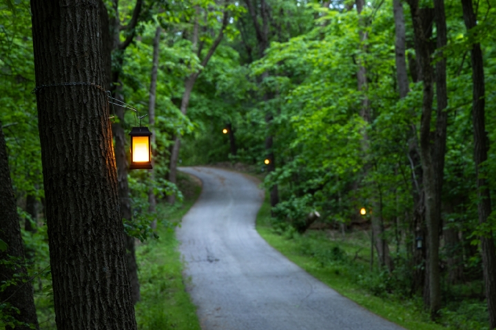Garden path at Hidden Serenity