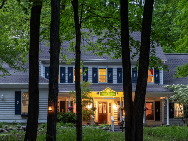 front of property through the trees at dusk