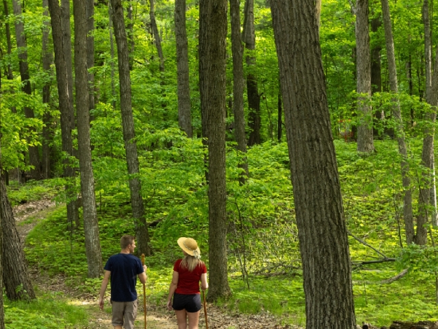 couple walking in the woods