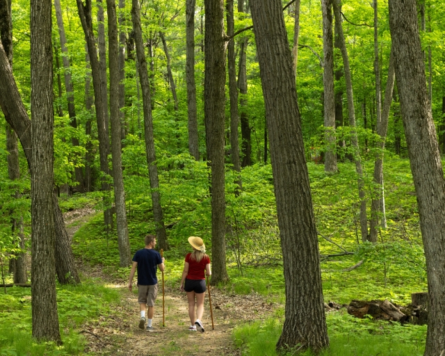 couple walking in the woods