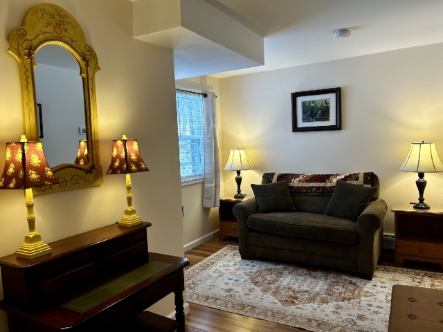 Room 8 Downstairs sleeping area with pull-out couch