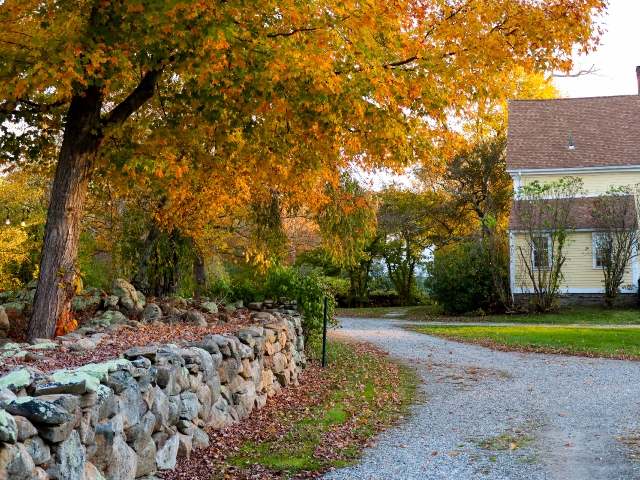 1Stonewalled driveway with fall colors leading to 1807 house