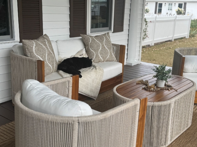 House cat Queenie, relaxing on the front porch.