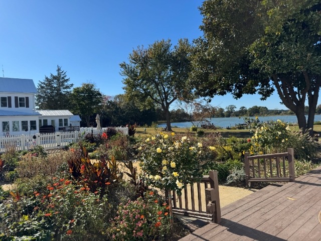 View from Garden Suites