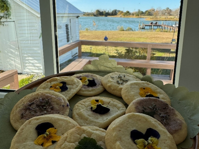 Cookies and a view