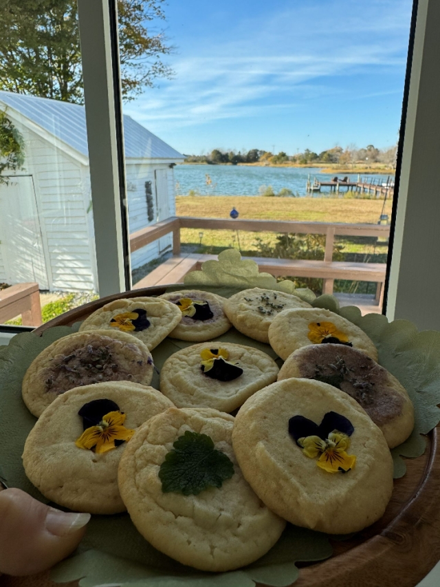 Cookies and a view