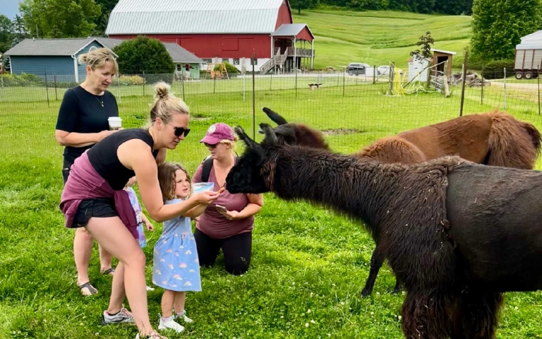 Family Outdoor Adventure at Justin Trails Resort