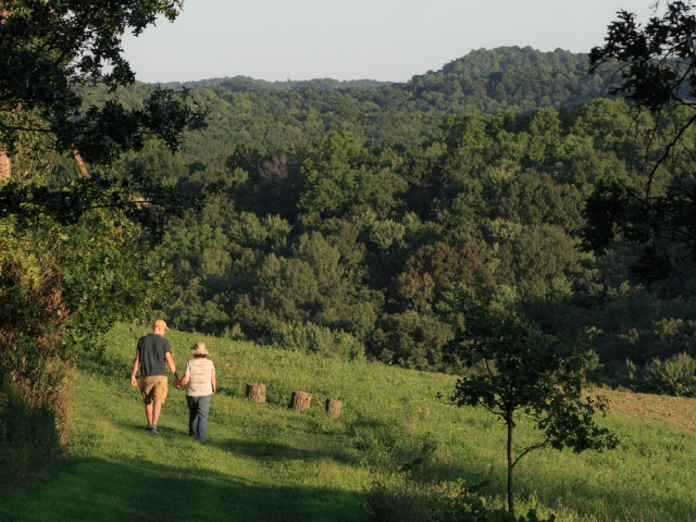 Walking on the Doe Chase Trail