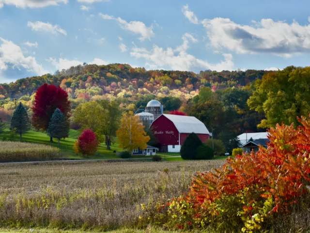 Justin Trails Resort Buildings