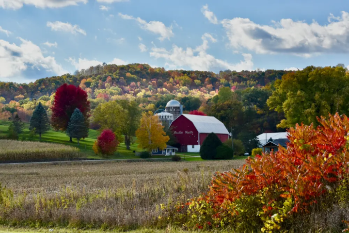 Justin Trails Resort Buildings