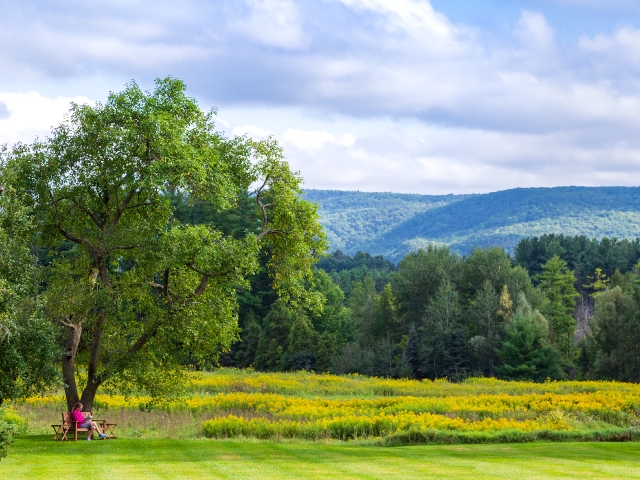 Devonfield 36 acre property