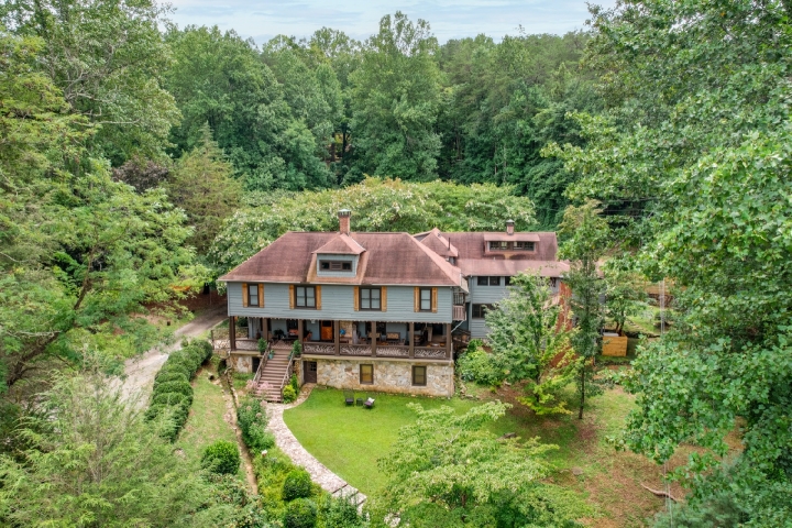 Early Bird - Special Offer