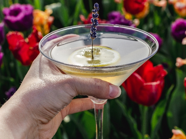 Lemon Lavender Cocktail