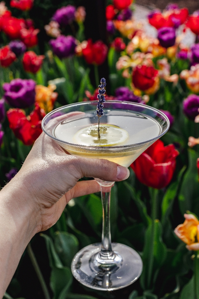Lemon Lavender Cocktail