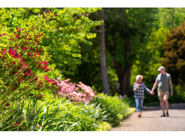 couple walking