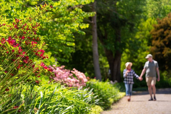 Stay Longer, Live Slower at Brampton 1860