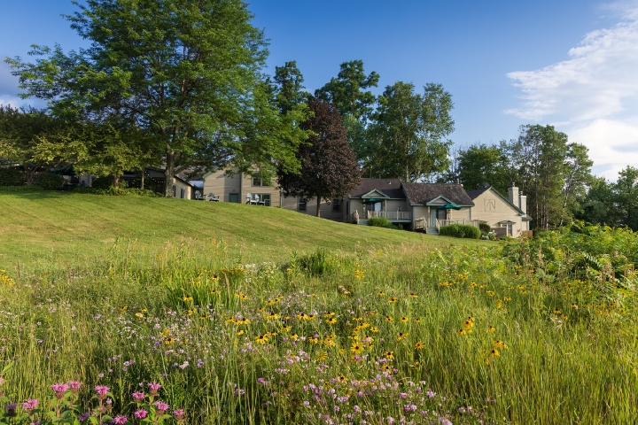 the exterior of Chesterfield Inn with long grass and wildflowers