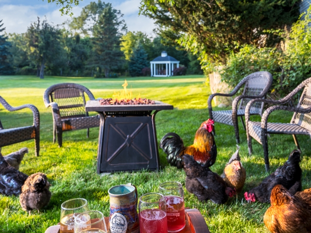 Chicken Cocktail Hour with Rudy