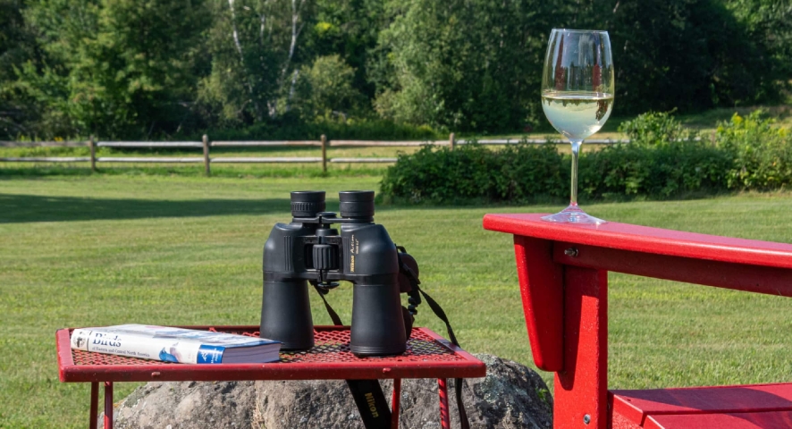The Solo Stillness Retreat