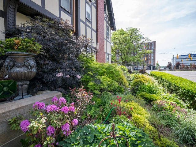 Front Garden