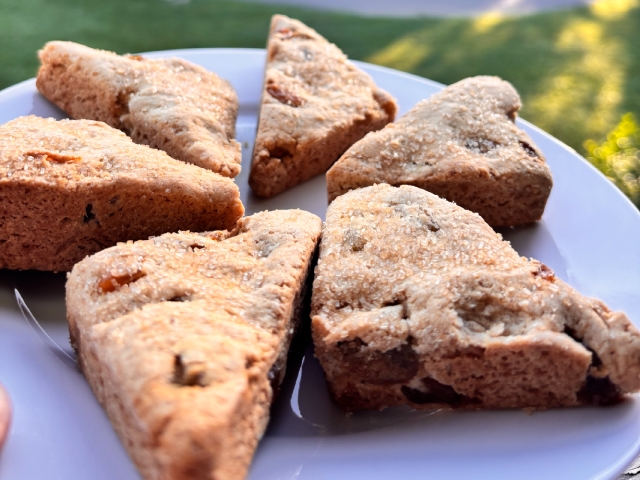 Freshly baked blueberry lemon scones await guests at Prairie Guest House, topped with a glimmer of coarse sugar and cardamom.