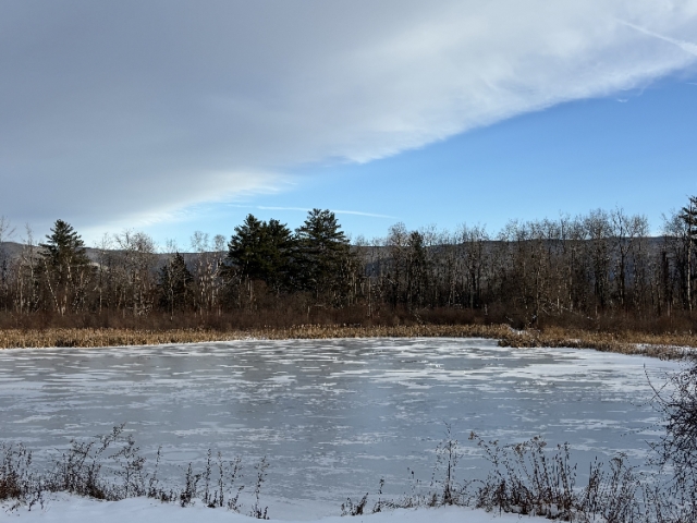 Pond at Field Farm