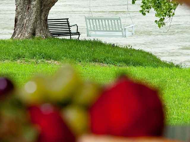 wine and fruit and a bench by the river